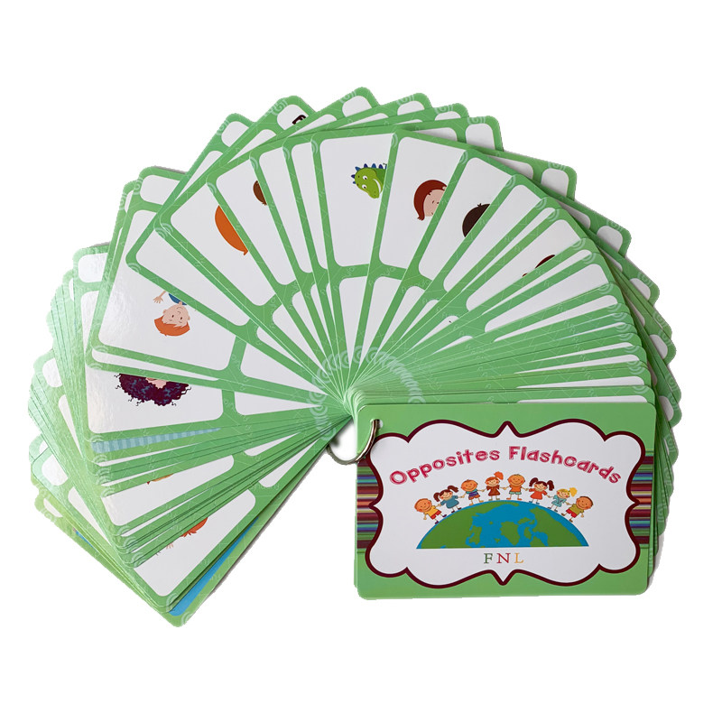 The 100 Groups Opposites Flash - đánh giá và giá Kids Educational Resources