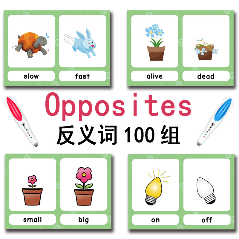 The 100 Groups Opposites Flash - đánh giá và giá Kids Educational Resources