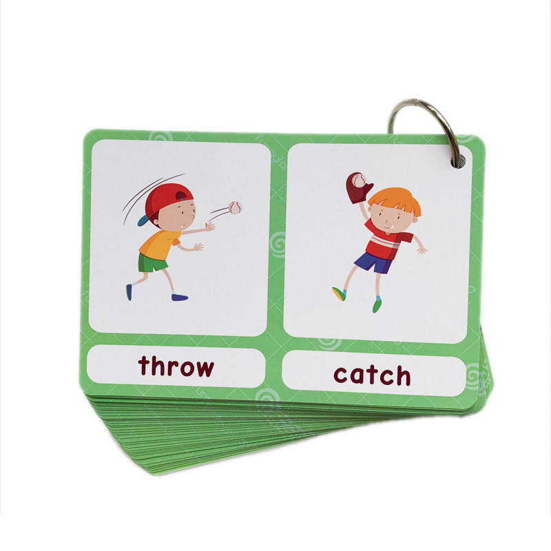 The 100 Groups Opposites Flash - đánh giá và giá Kids Educational Resources