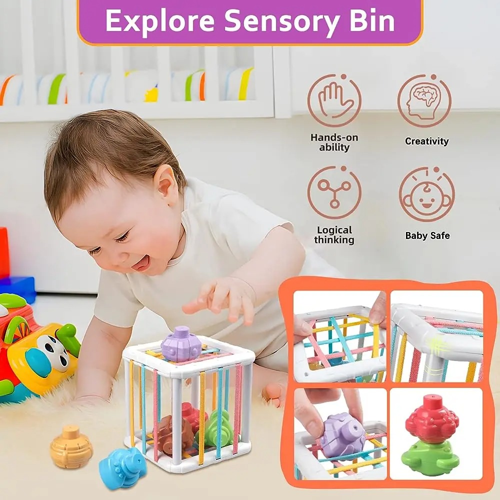 Rainbow Colorful Montessori Sh - đánh giá và giá Kids Educational Resources