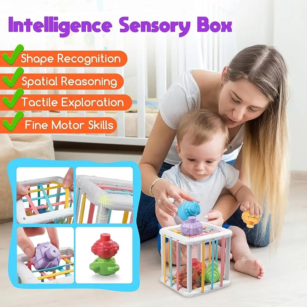 Rainbow Colorful Montessori Sh - đánh giá và giá Kids Educational Resources
