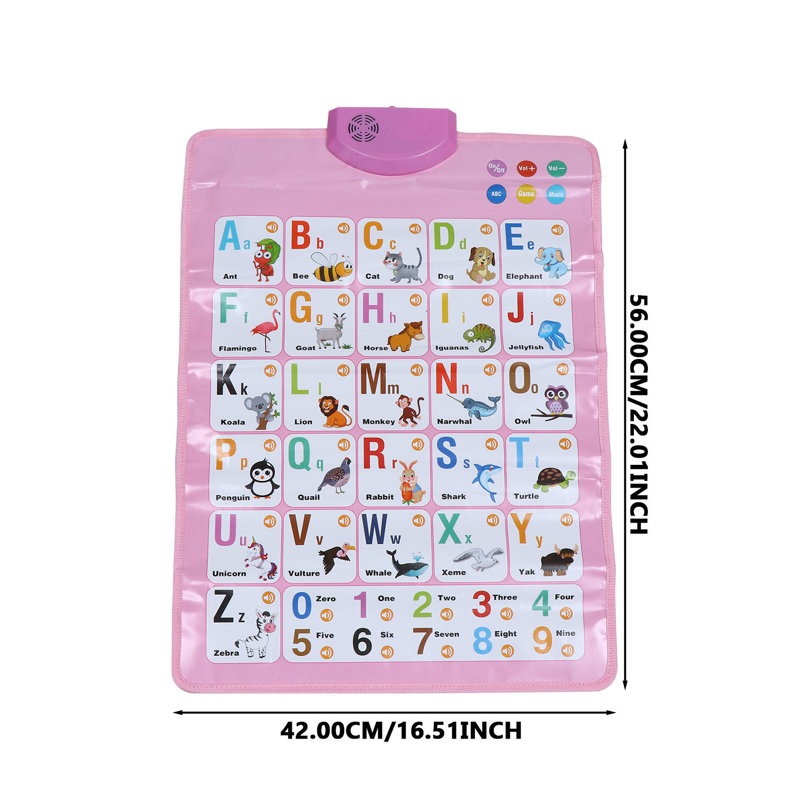 1Pcs Lightweight Rollable Engl - đánh giá và giá Kids Education Wallpaper