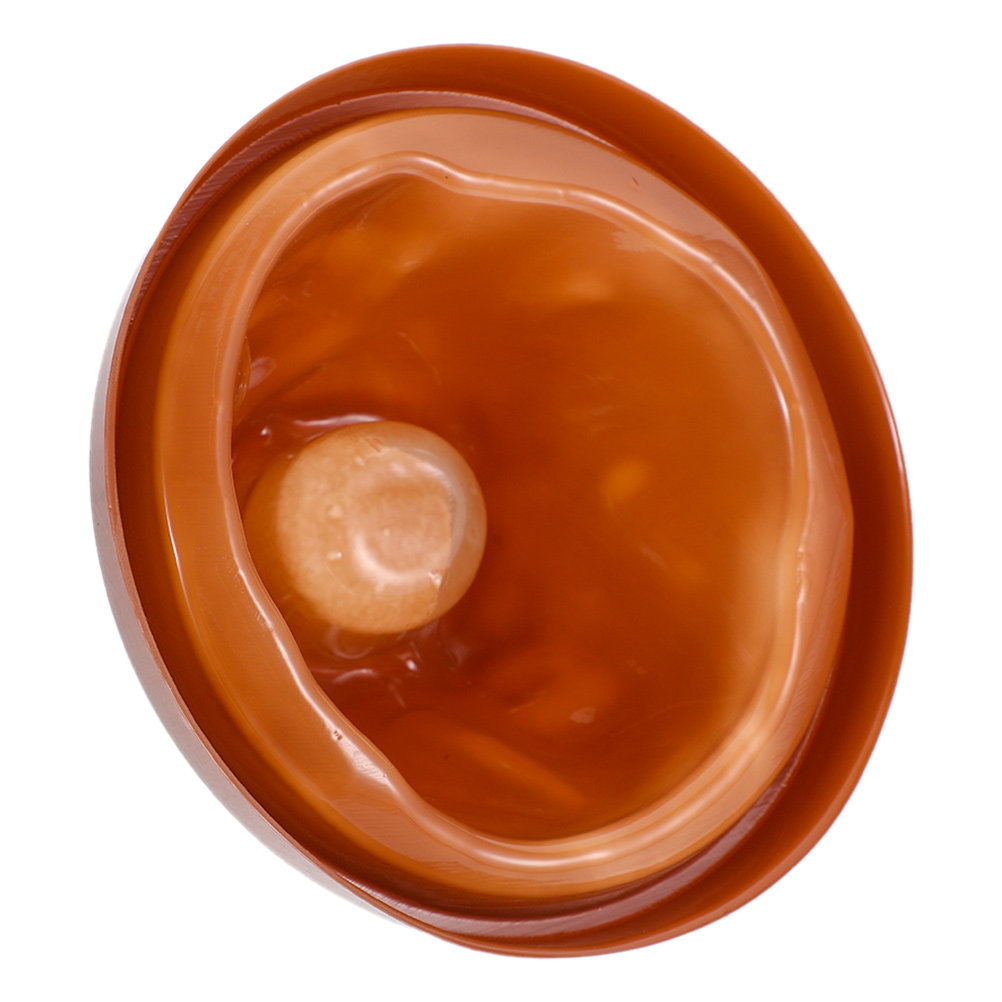 Plastic Volcano Shell and Base - đánh giá và giá Science Kit Volcano